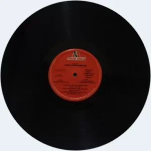 Ganga Aakhir Ganga Hai - 2394 002 -  LP Record